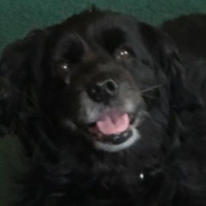 Meet your Posher, Jackie